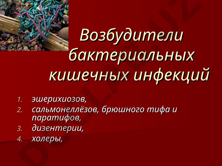 Возбудители бактериальных кишечных инфекций