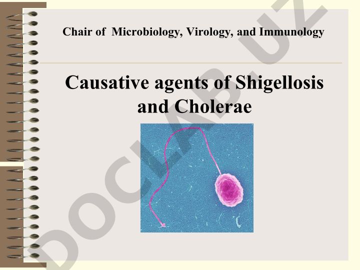 Shigellosis va Cholerae qo'zg'atuvchilari