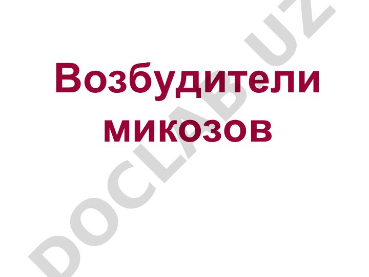 Возбудители микозов и их классификация