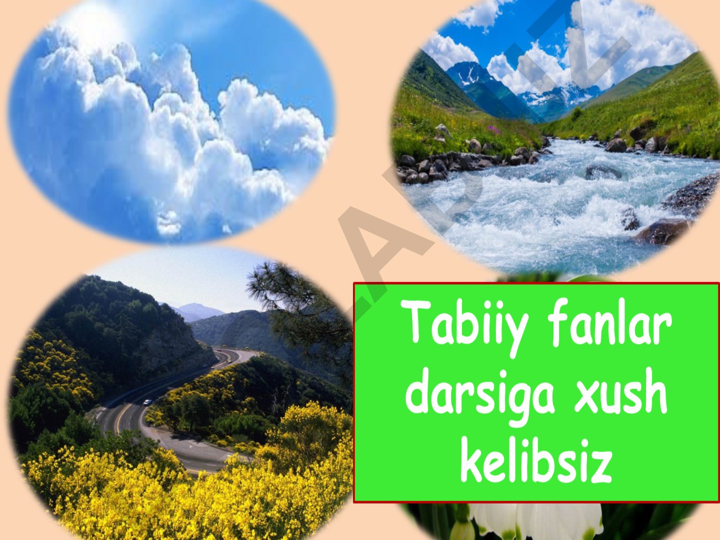 Raqamli iqtisodiyot va sun'iy intellekt