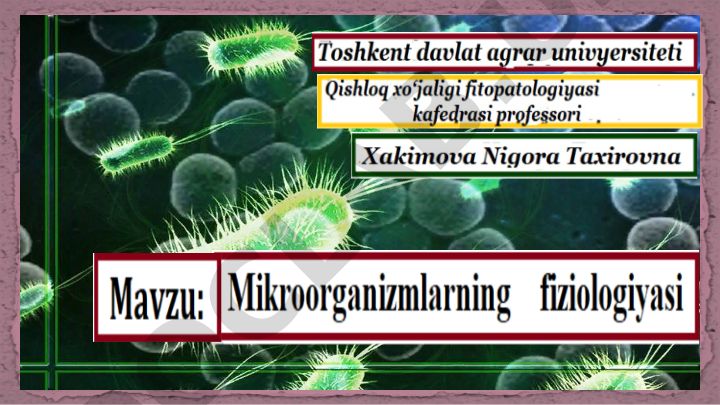 Mikroorganizmlarning oziqlanishi