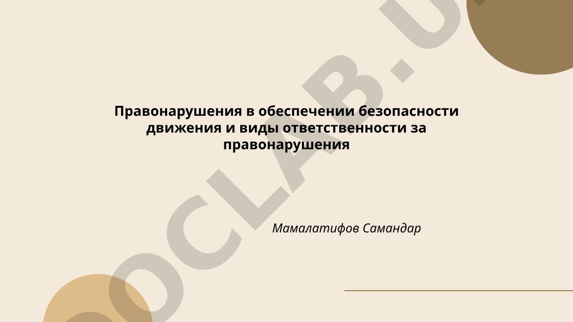 Правонарушения в обеспечении безопасности движения и виды ответственности