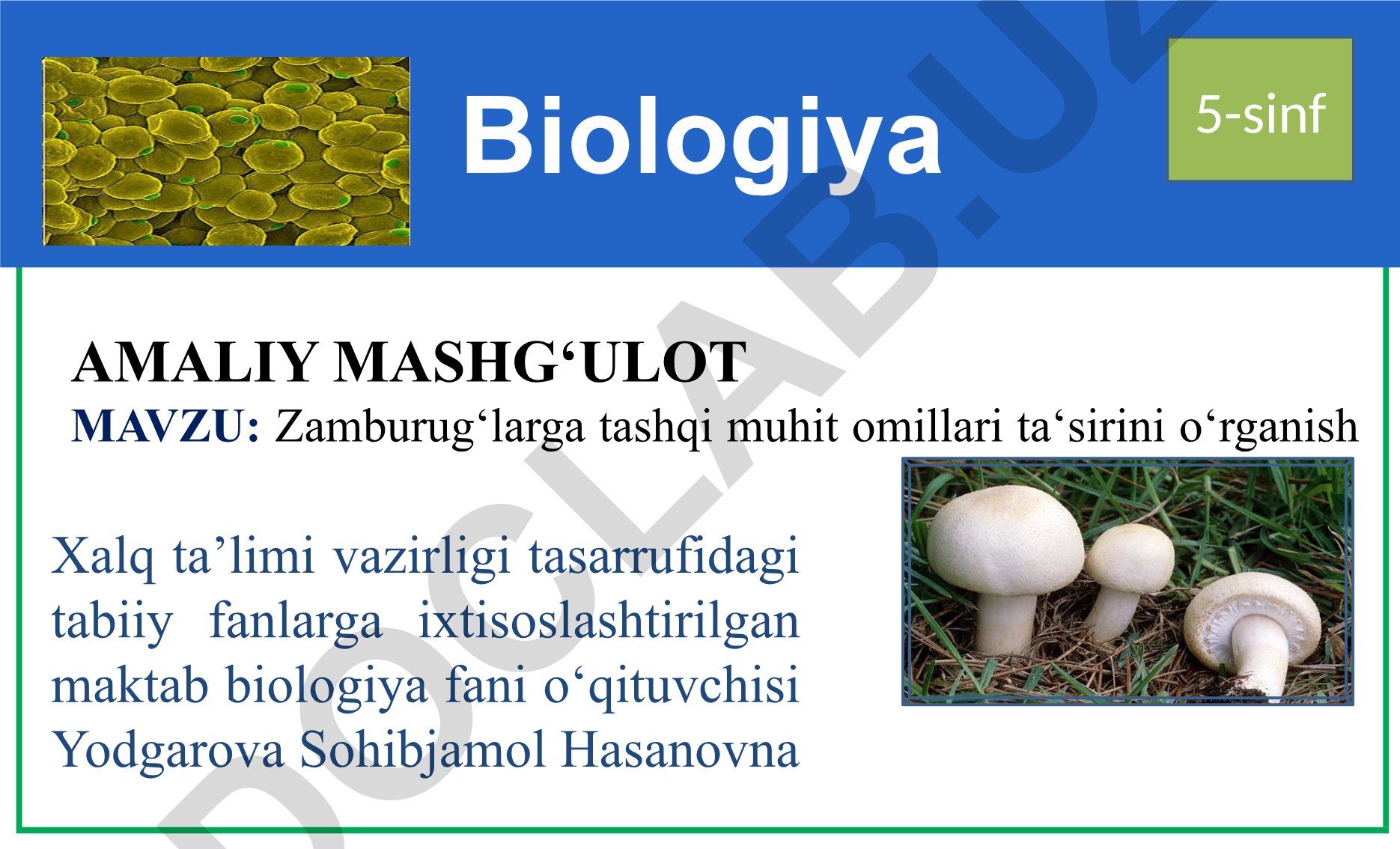 Zamburug'larga tashqi muhit omillari ta'sirini o'rganish