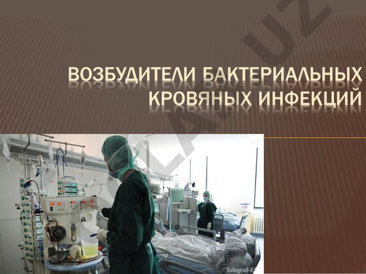 Возбудитель чумы и его свойства