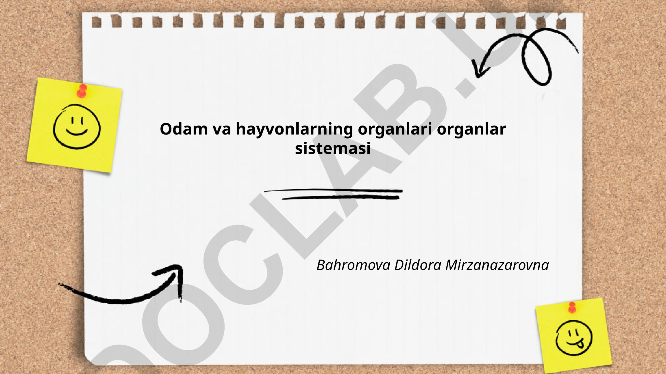 Odam va hayvonlarning organlari va organlar sistemasi