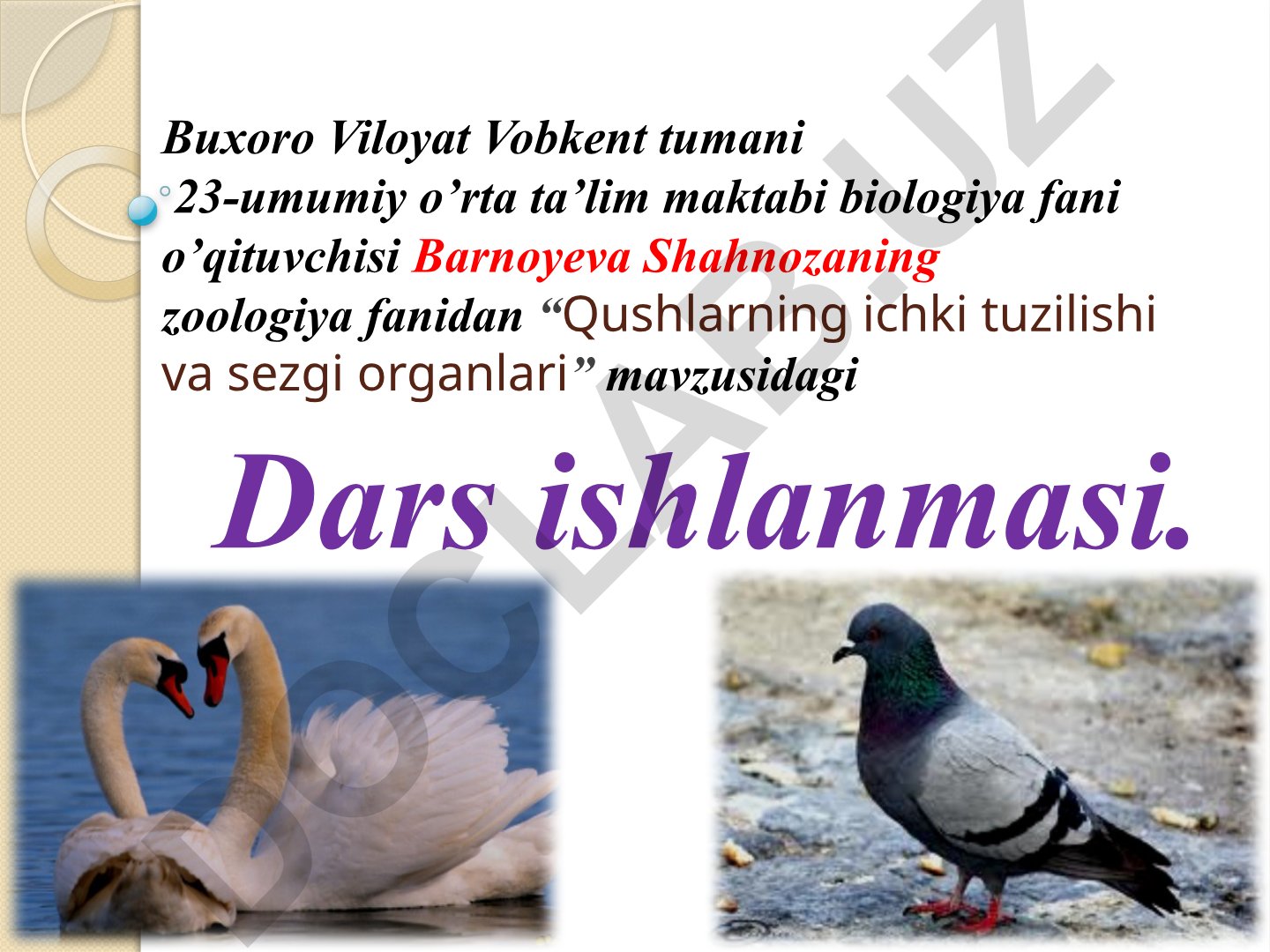 Qushlarning ichki tuzilishi va sezgi organlari
