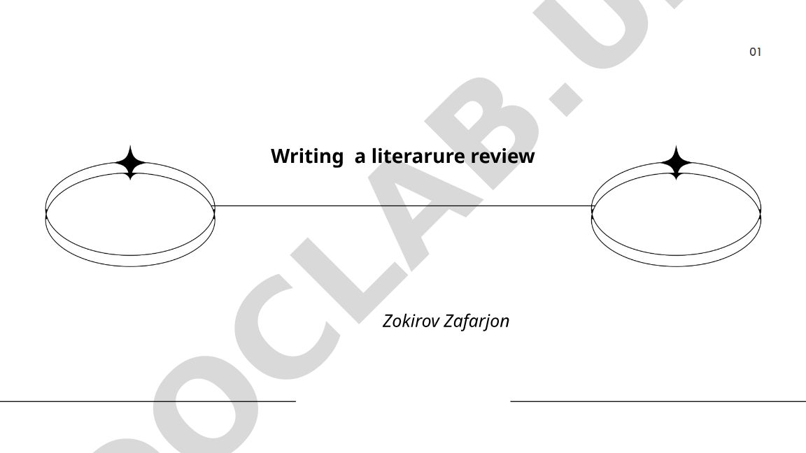 Writing a literature review