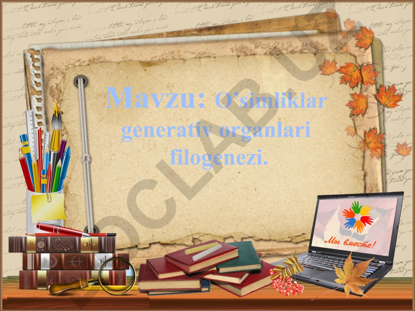 O’simliklar generativ organlari filogenezi