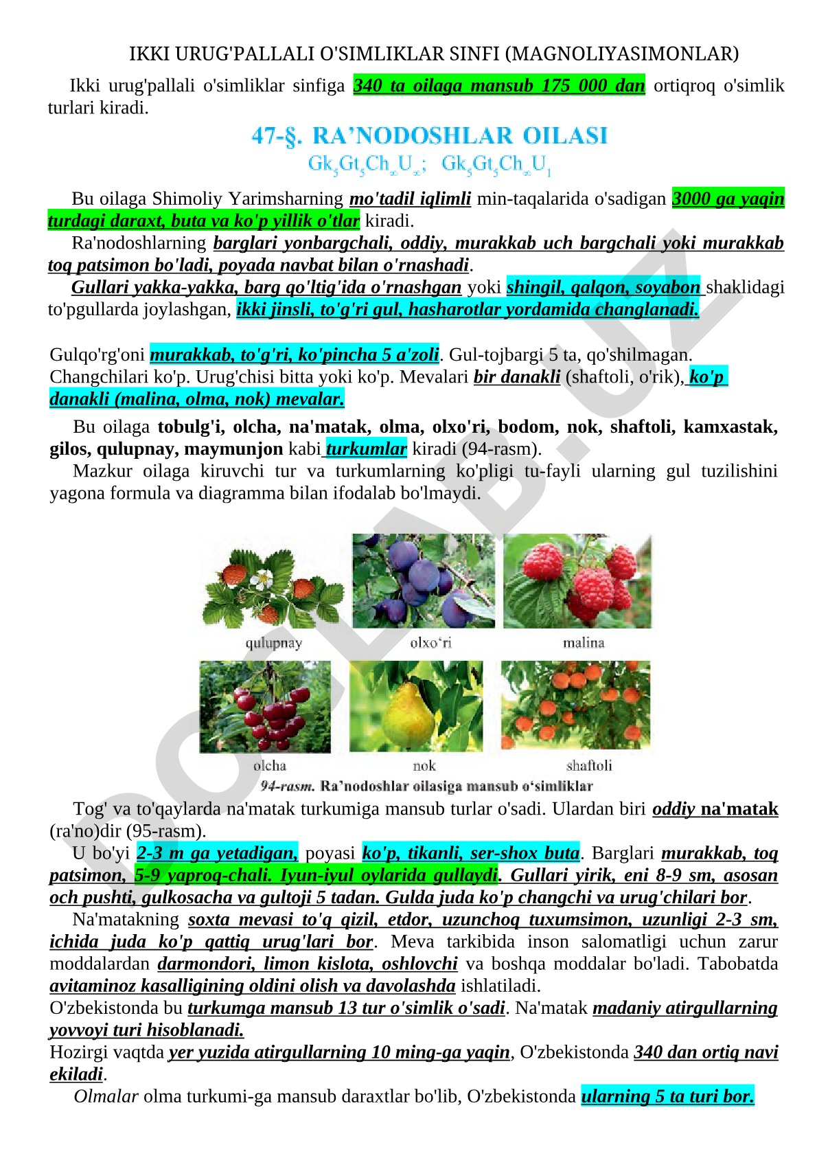 IKKI URUG'PALLALI O'SIMLIKLAR SINFI (MAGNOLIYASIMONLAR)