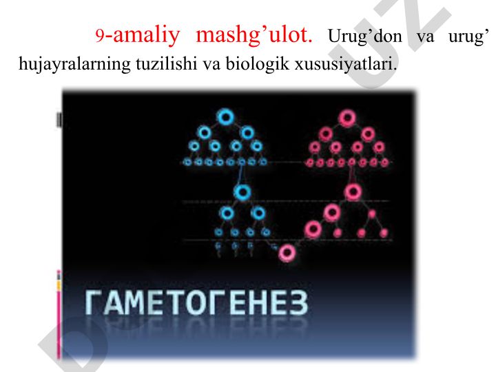 Urug'don va urug' hujayralarning tuzilishi va biologik xususiyatlari