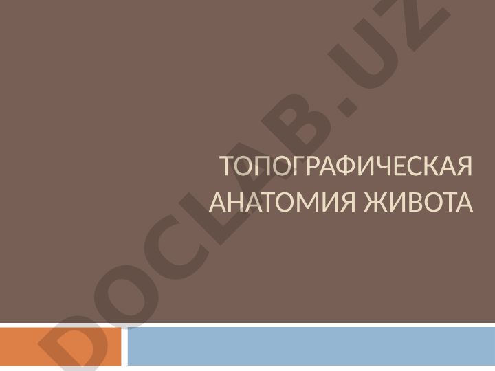 Топографическая анатомия живота