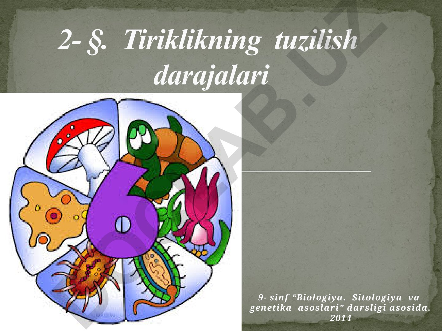 Tiriklikning tuzilish darajalari