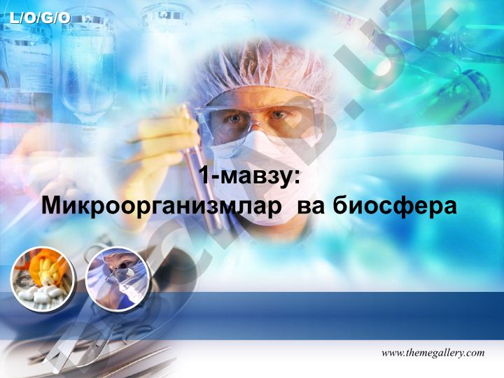 Микроорганизмлар ва биосфера