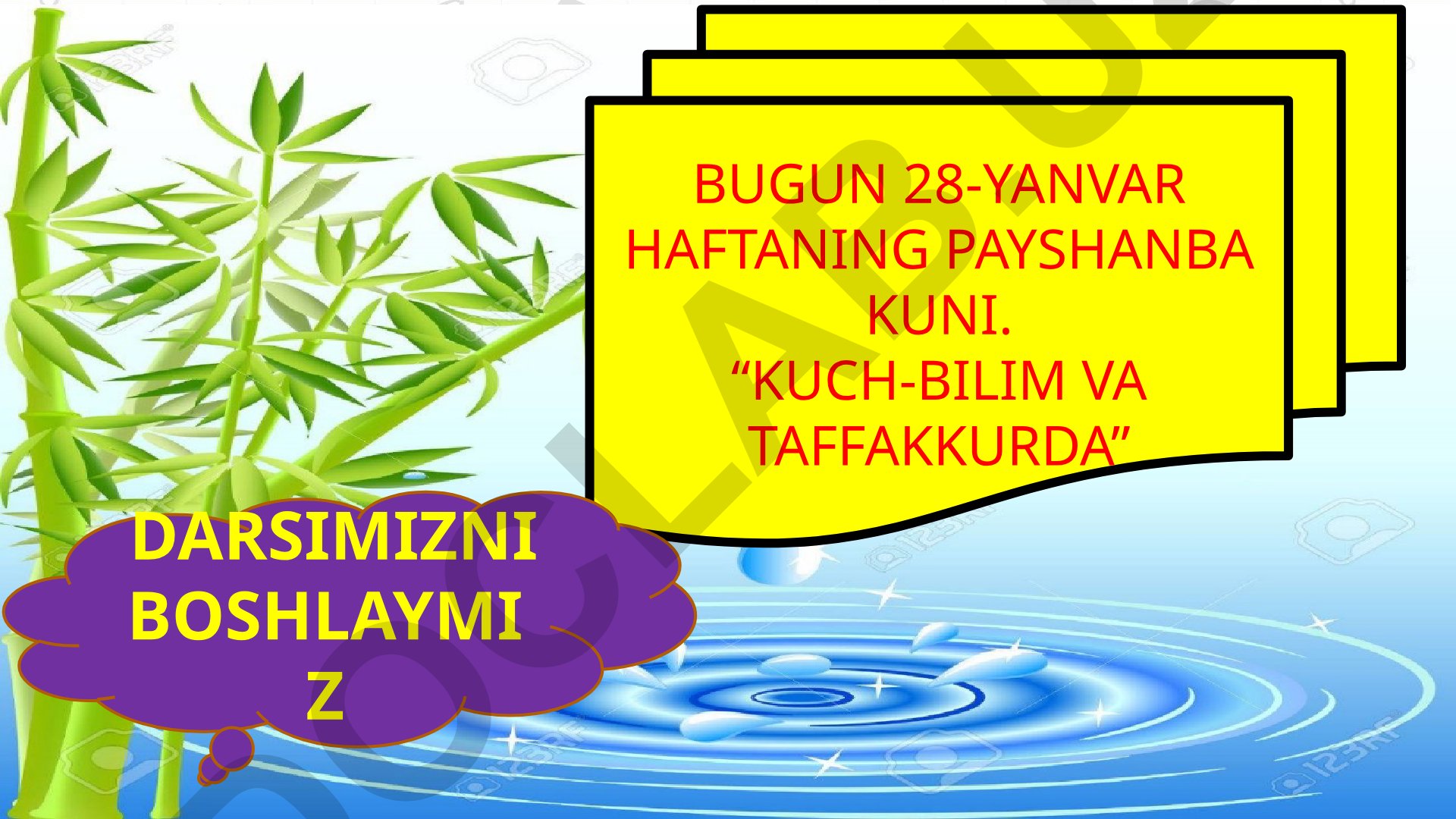 Baliqlarning ichki tuzulishi