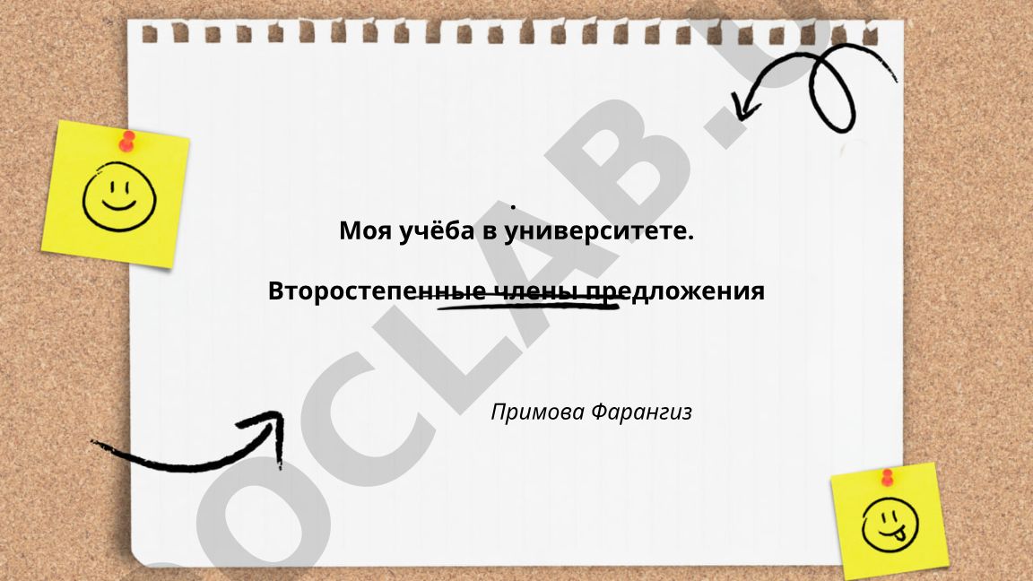 Второстепенные члены предложения в описании университетской жизни