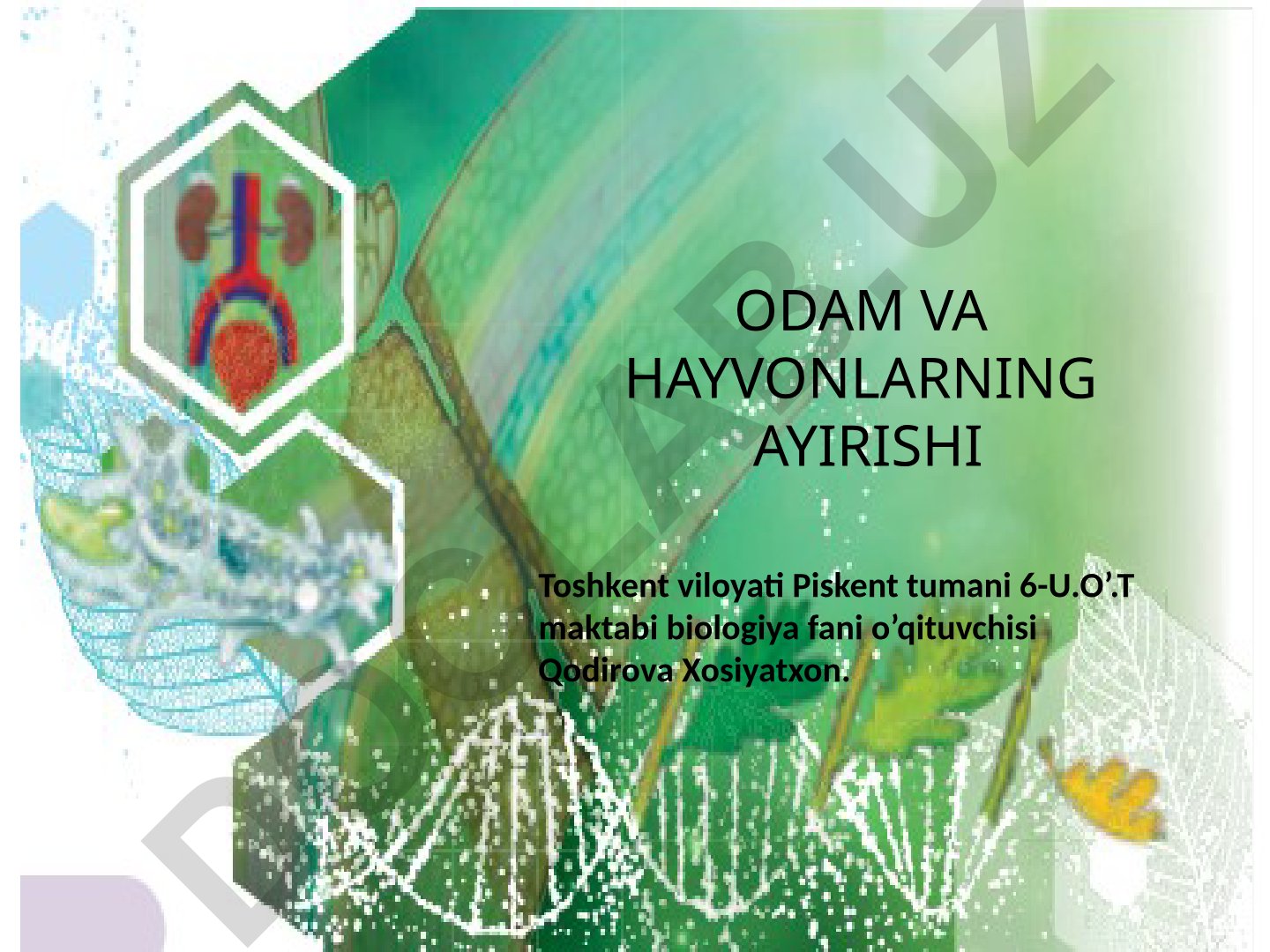 Odam va hayvonlarning ayirish sistemasi