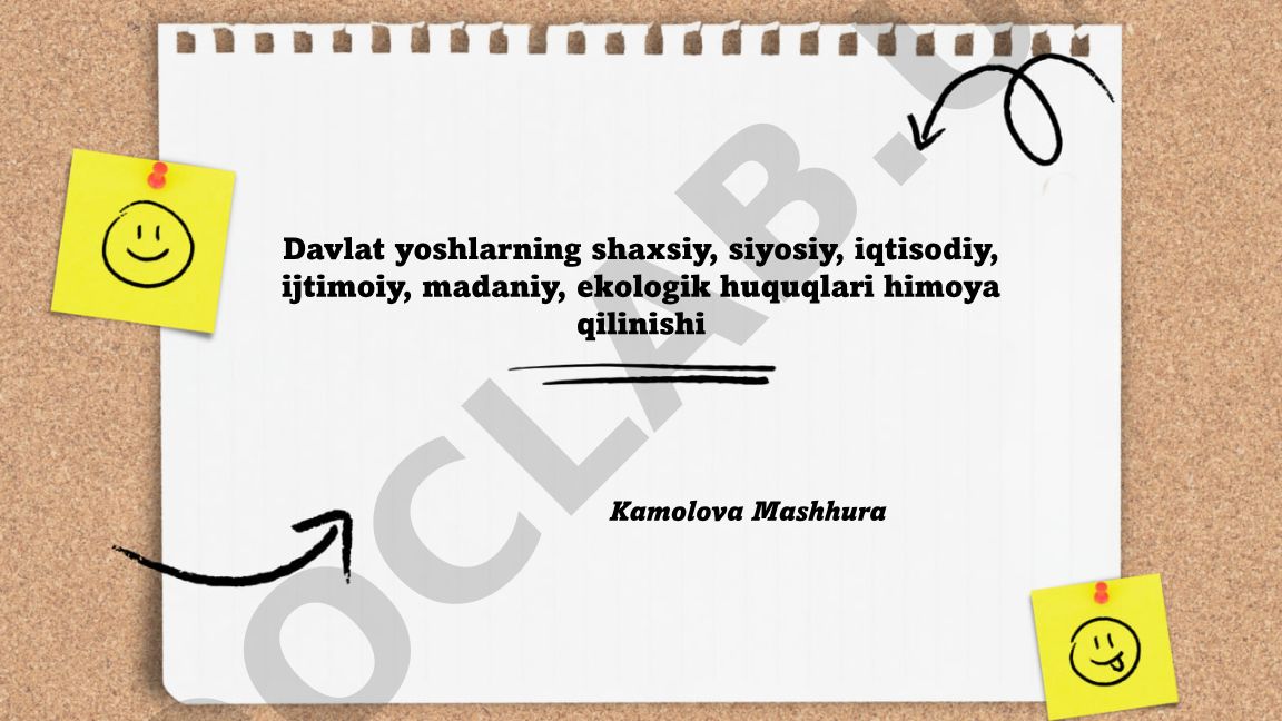 Davlat yoshlarning huquqlarini himoya qilish mexanizmlari