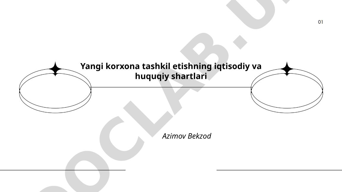 Yangi korxona tashkil etishning iqtisodiy va huquqiy shartlari