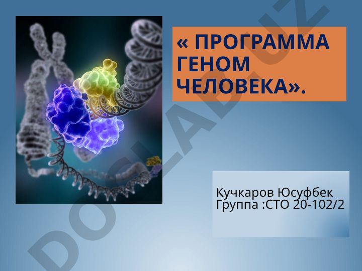 Программа Геном человека
