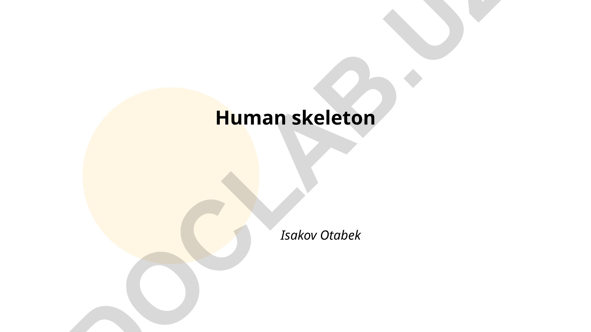 Inson skeleti tuzilishi va funktsiyalari