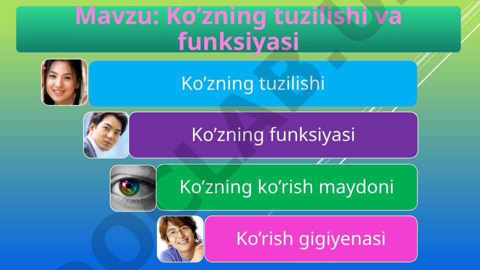 Ko’zning tuzilishi va funksiyasi