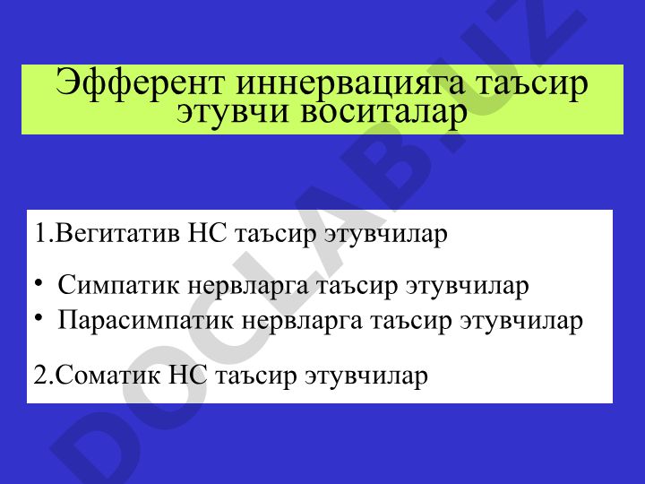 Эфферент иннервацияга таъсир этувчи воситалар ва вегетатив нерв системаси