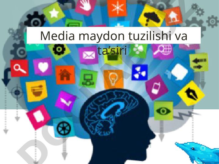 Media maydon tuzilishi va ta'siri