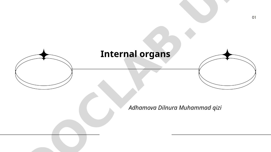 Internal organs: Heart, Lungs, Brain