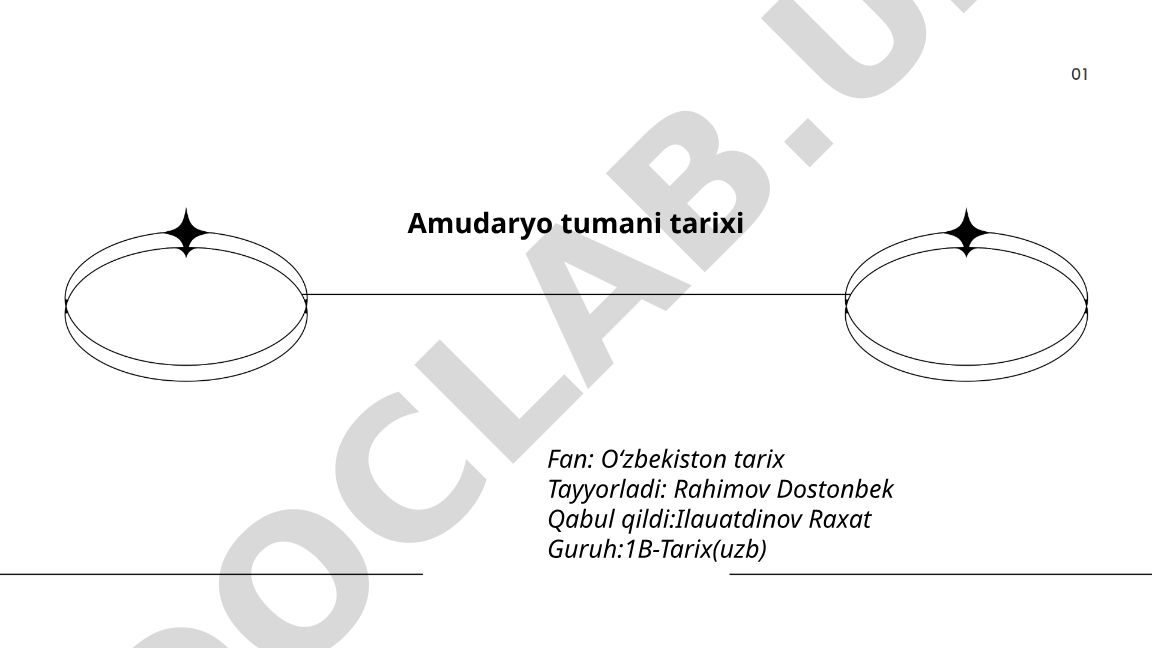 Amudaryo tumani tarixi va madaniyati