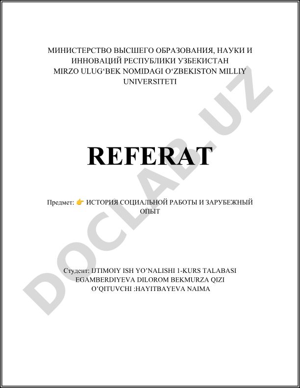 История социальной работы и зарубежный опыт