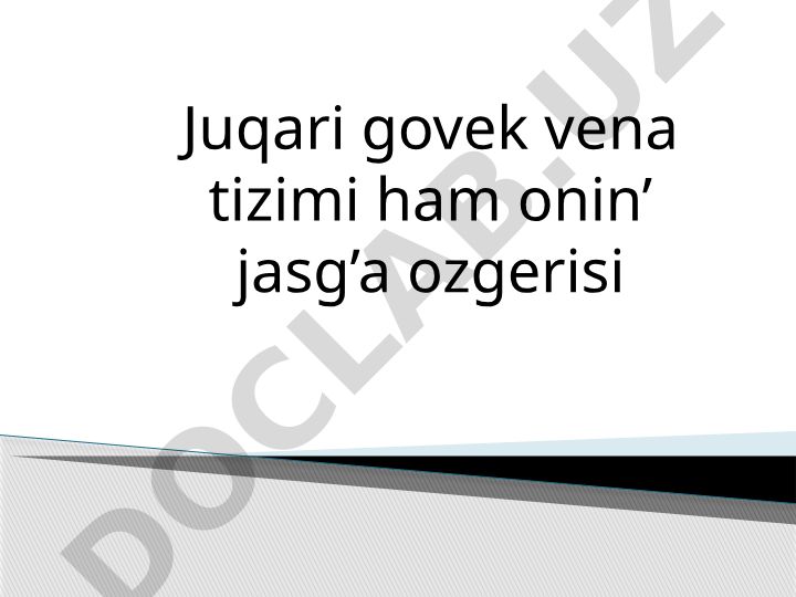 Yuqori kovak vena tizimi va uning anatomik xususiyatlari
