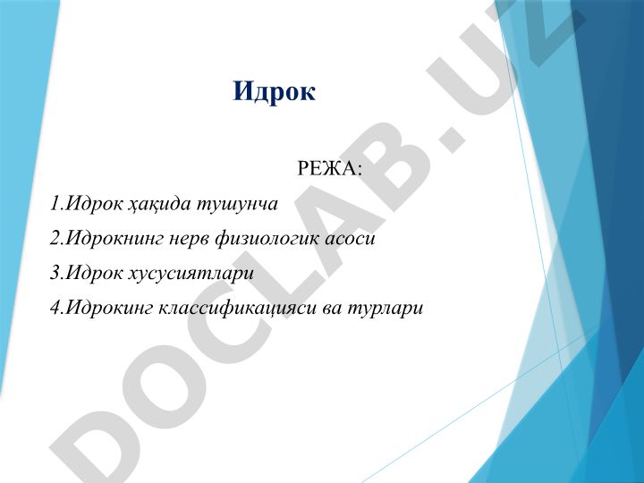 Идрок ҳақида тушунча, нерв физиологик асоси, хусусиятлари ва классификацияси