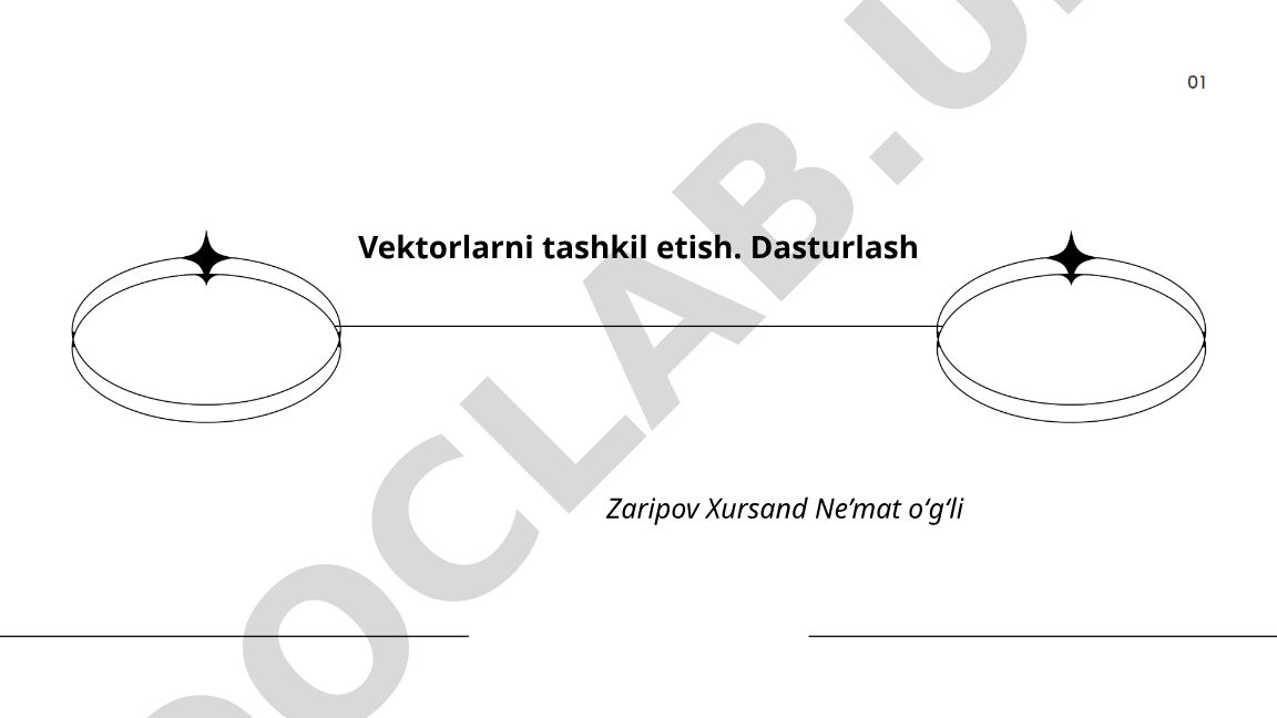 Vektorlarni tashkil etish va dasturlash