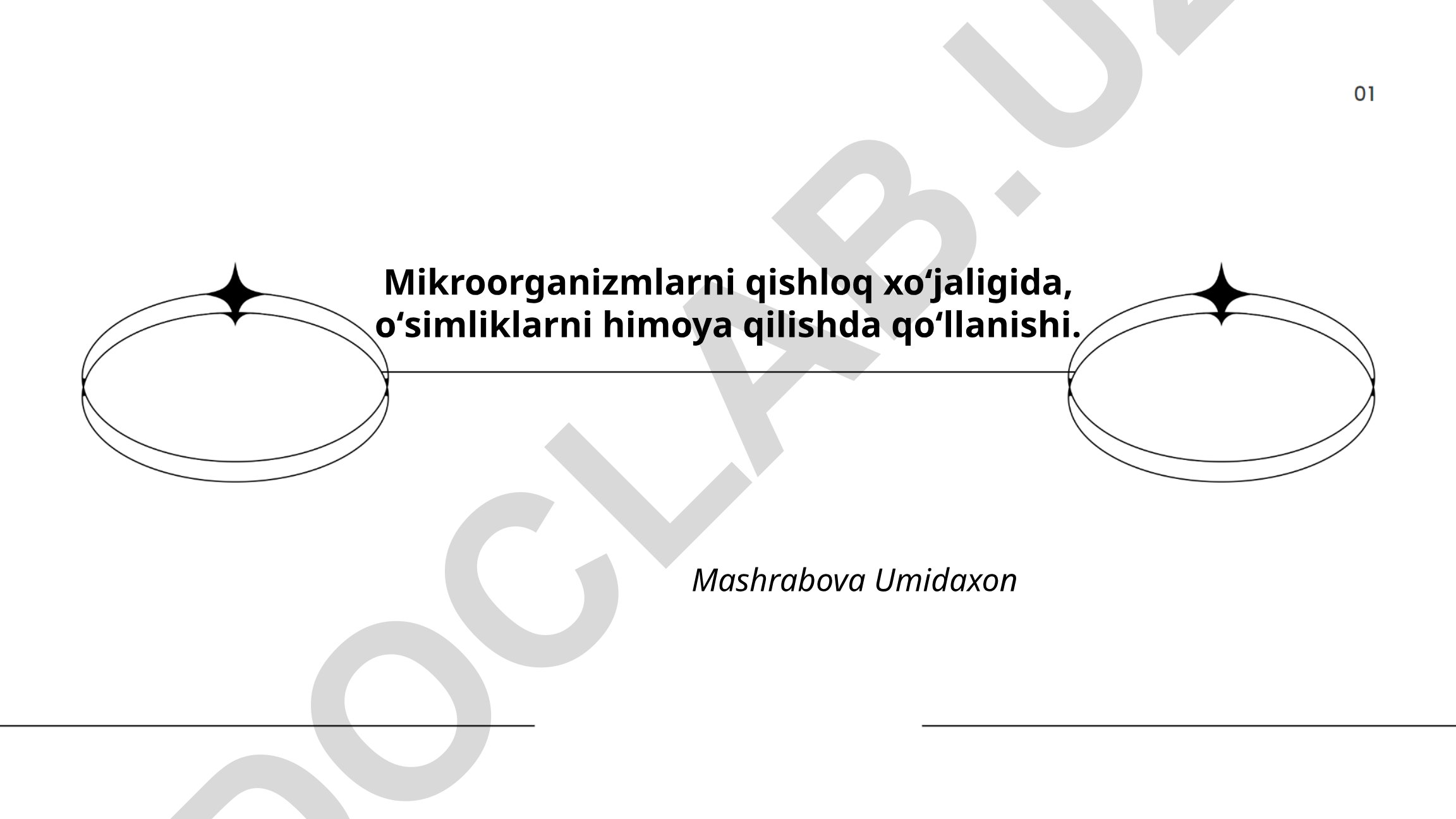 Mikroorganizmlarni qishloq xoʻjaligida, oʻsimliklarni himoya qilishda qoʻllanishi