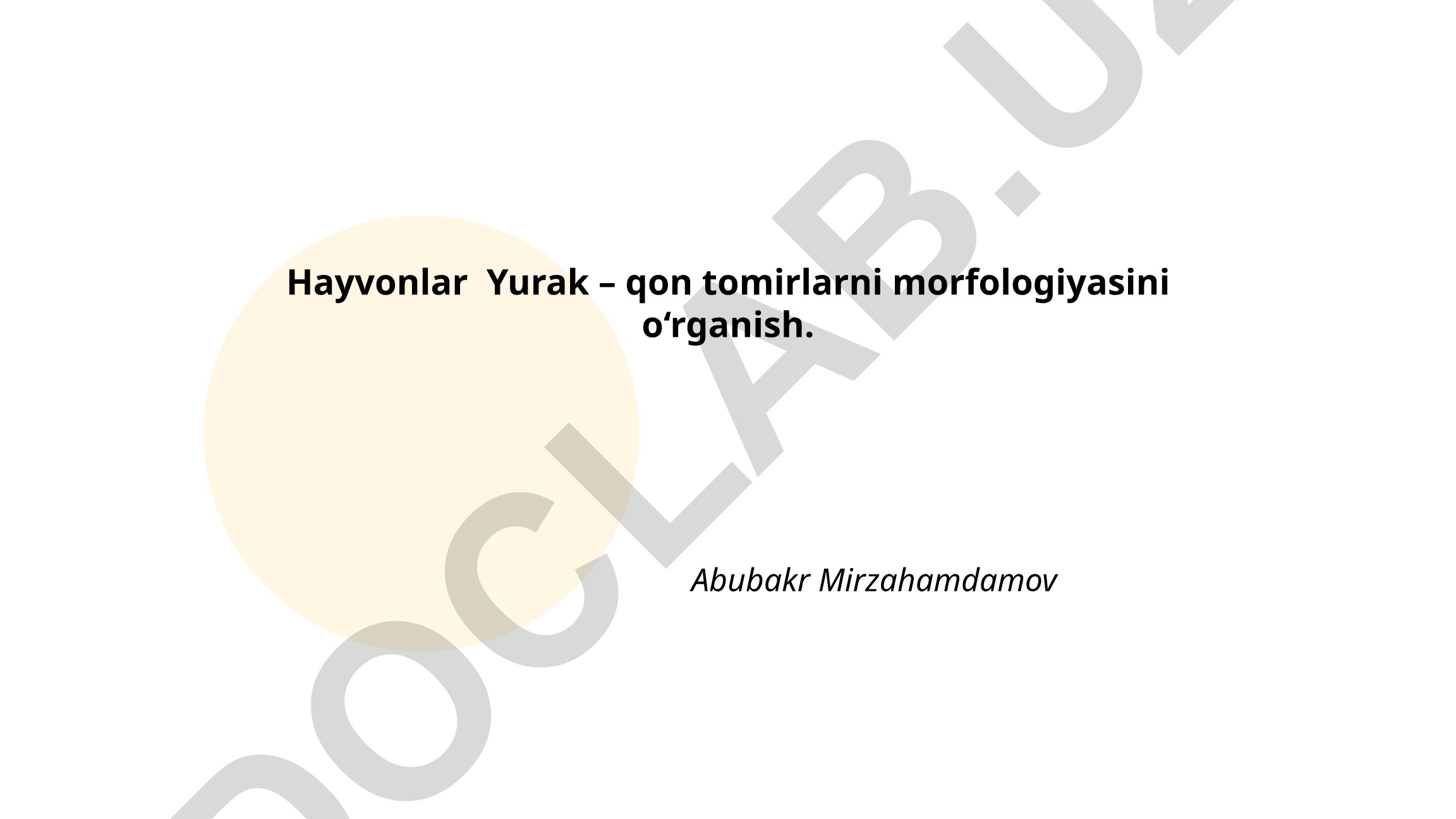 Hayvonlar yurak va qon tomirlarining morfologiyasi