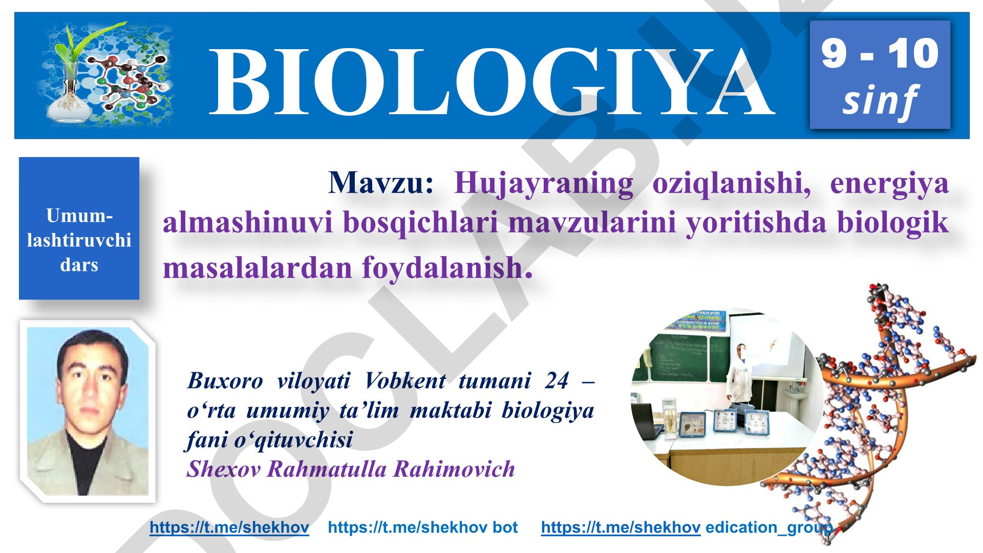Hujayraning oziqlanishi va energiya almashinuvi bosqichlari