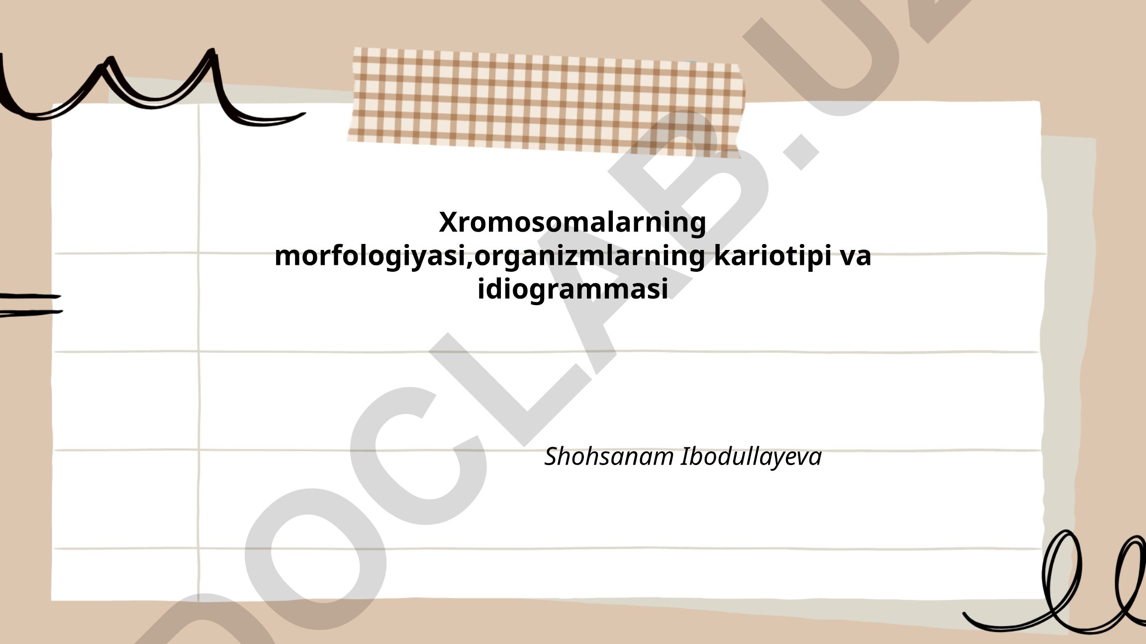 Xromosomalarning morfologiyasi, organizmlarning kariotipi va idiogrammasi