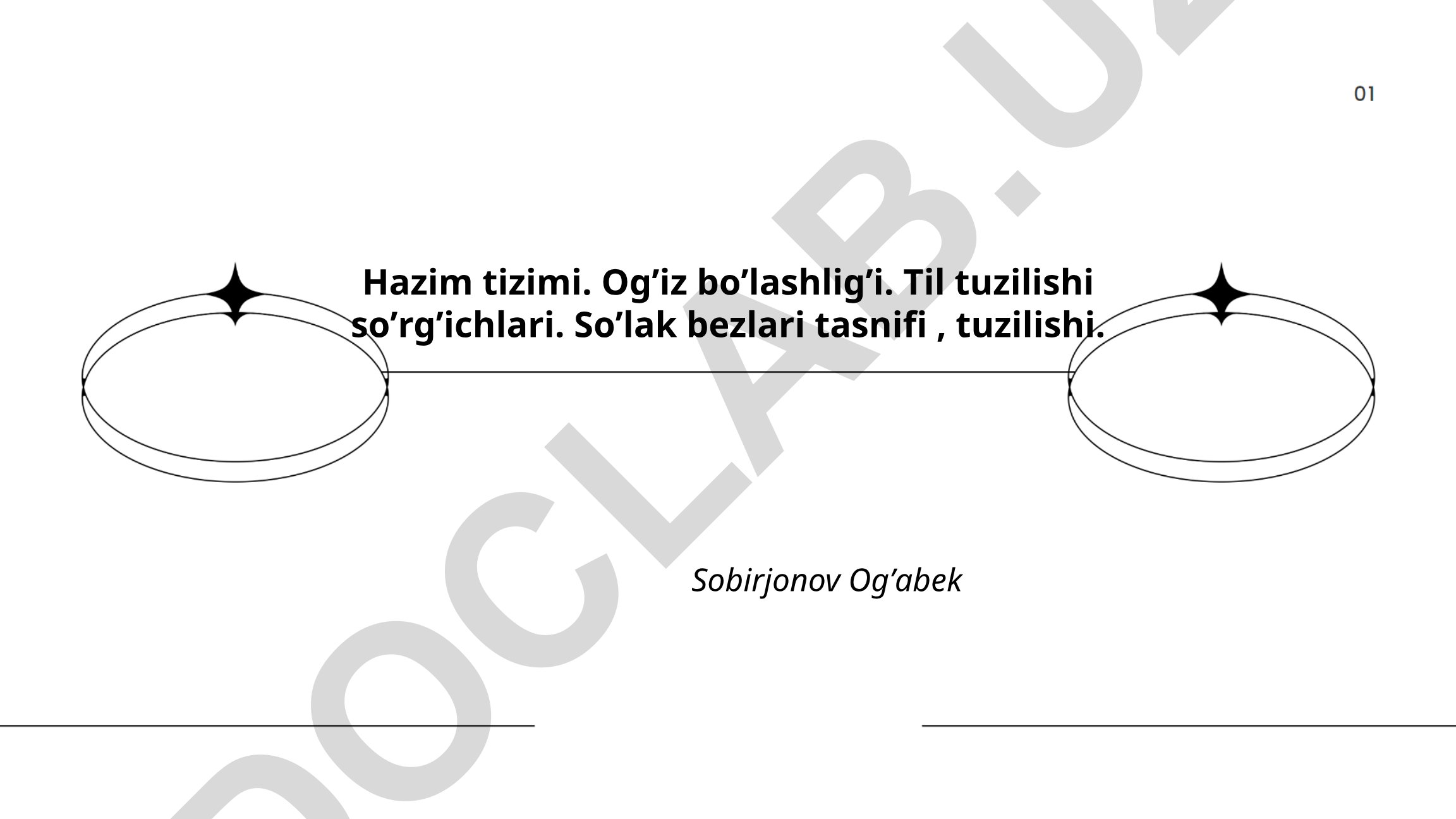 Hazm tizimi anatomiyasi va fiziologiyasi