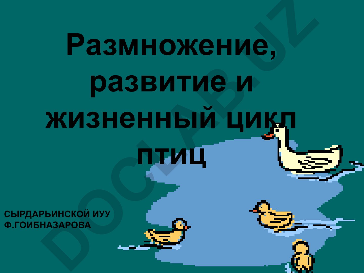 Размножение, развитие и жизненный цикл птиц