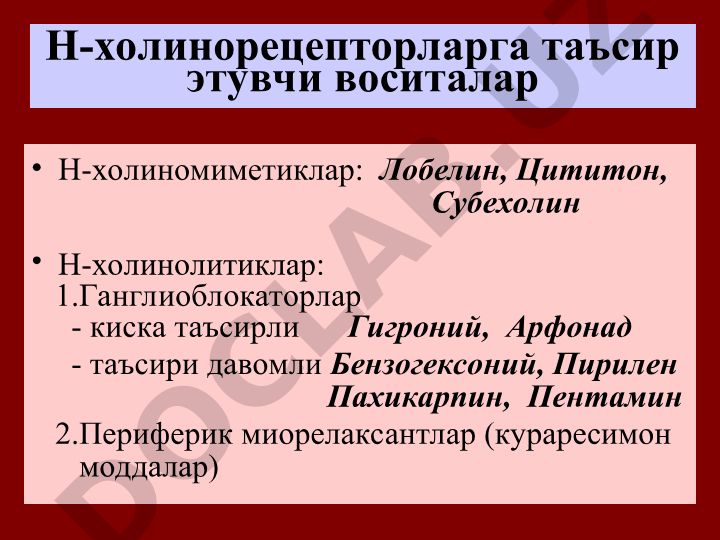 Н-холинорецепторларга таъсир этувчи воситалар: Н-холиномиметиклар ва Н-холинолитиклар