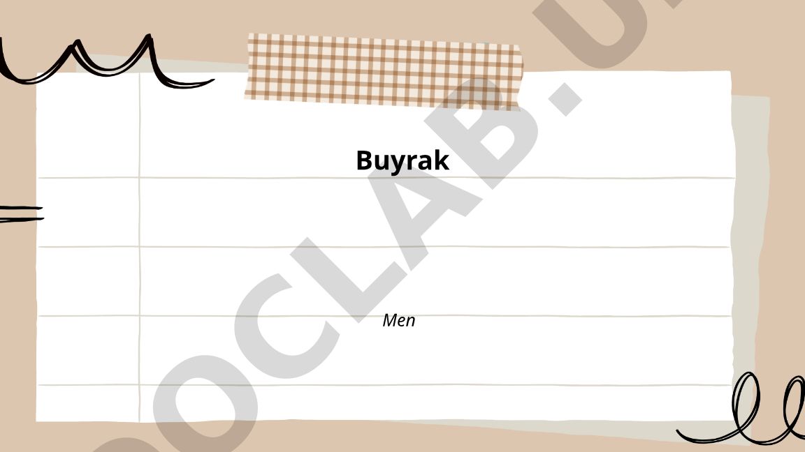 Buyrak anatomiyasi, fiziologiyasi va funksiyalari