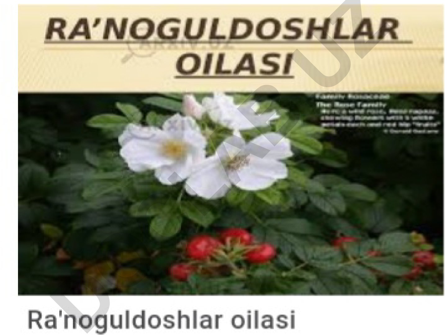 O'tilgan mavzuni takrorlash