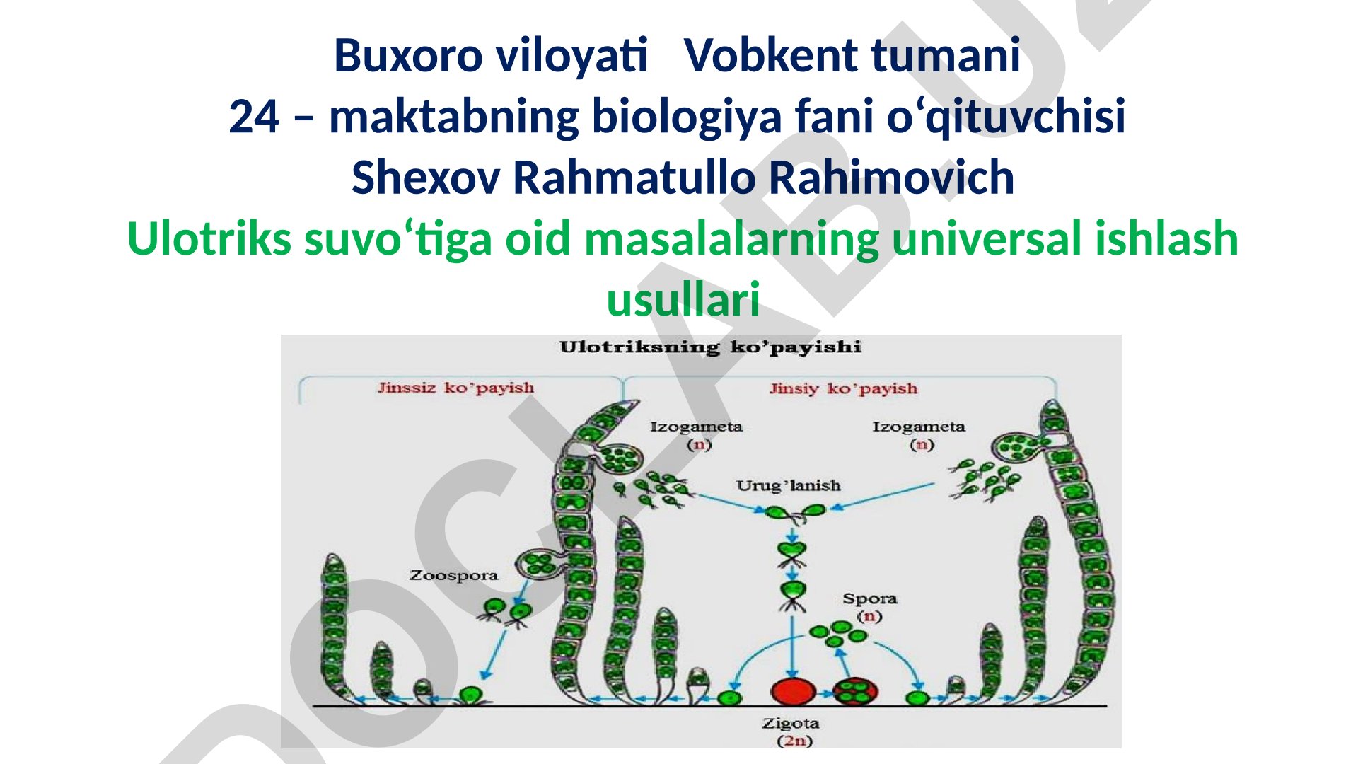 Ulotriks suvo'tining jinssiz va jinsiy ko'payishi