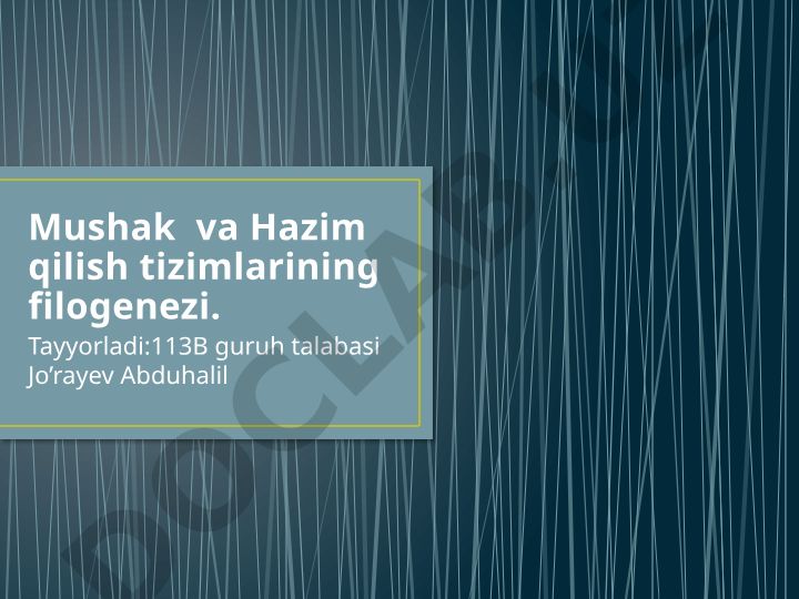 Mushak va Hazim qilish tizimlarining filogenezi