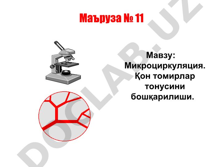 Микроциркуляция. Қон томирлар тонусини бошқарилиши