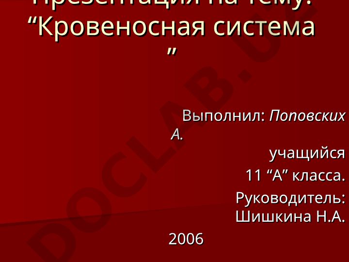 Кровеносная система