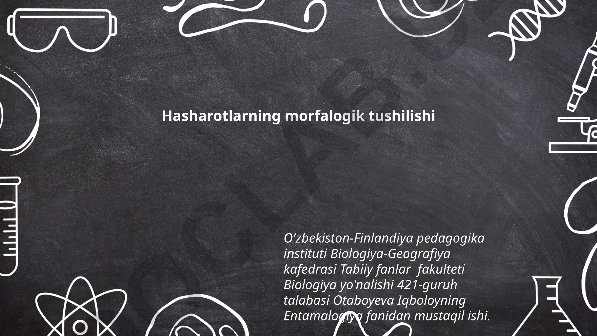 Hasharotlarning morfalogik tushilishi