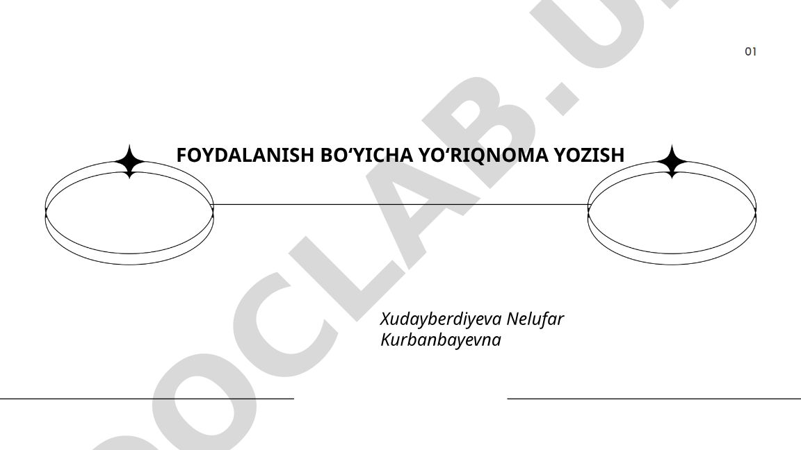 Foydalanish bo'yicha yo'riqnoma yozish