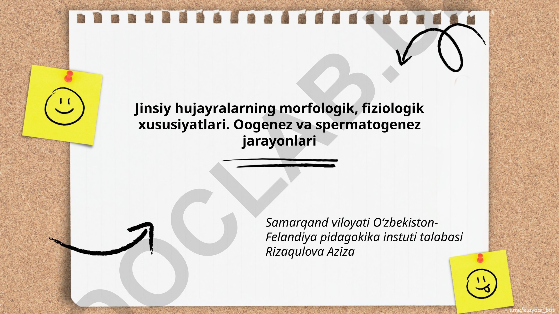 Jinsiy hujayralarning morfologik, fiziologik xususiyatlari va oogenez, spermatogenez jarayonlari