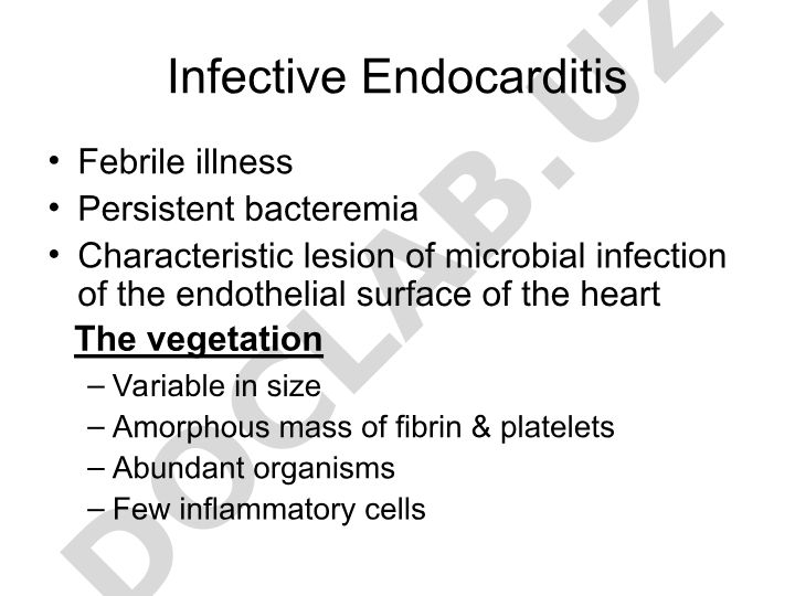 Infective Endocarditis: Pathophysiology, Classification, and Epidemiology